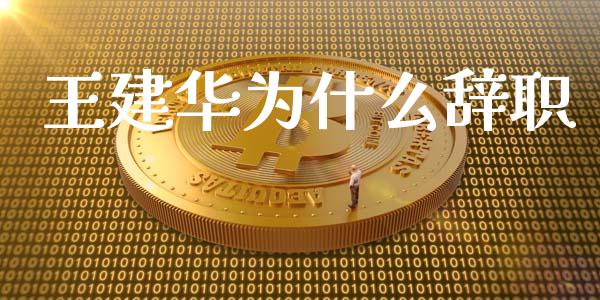 王建华为什么辞职_https://cj002.lansai.wang_期货问答_第1张