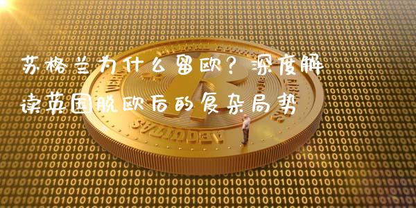 苏格兰为什么留欧？深度解读英国脱欧后的复杂局势_https://cj002.lansai.wang_金融问答_第1张