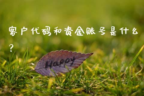 客户代码和资金账号是什么?_理财问答_第1张_财经百问网 客户代码和资金账号是什么?_https://cj002.lansai.wang_理财问答_第1张