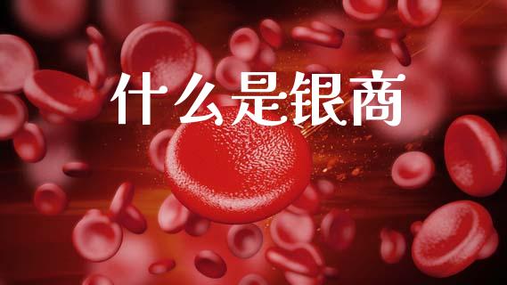 什么是银商_https://cj002.lansai.wang_金融问答_第1张