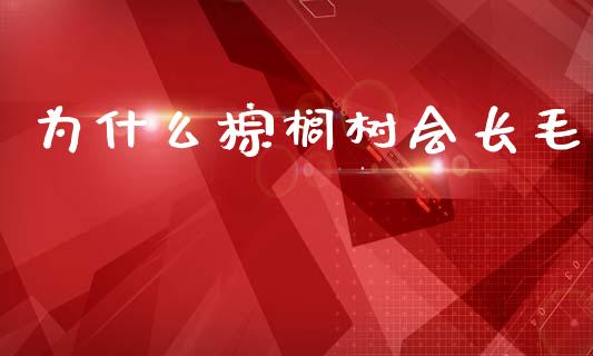 为什么棕榈树会长毛_https://cj002.lansai.wang_金融问答_第1张