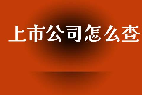 上市公司怎么查_https://cj002.lansai.wang_金融问答_第1张