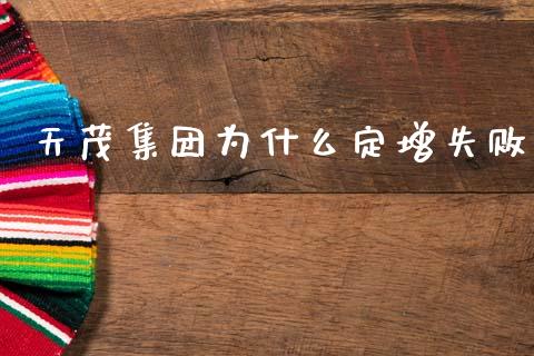 天茂集团为什么定增失败_https://cj002.lansai.wang_财经百问_第1张