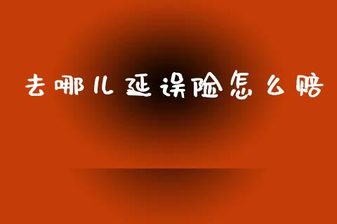 去哪儿延误险怎么赔_https://cj002.lansai.wang_保险问答_第1张