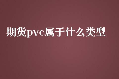 期货pvc属于什么类型_https://cj002.lansai.wang_会计问答_第1张