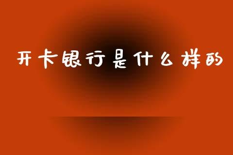 开卡银行是什么样的_https://cj002.lansai.wang_理财问答_第1张