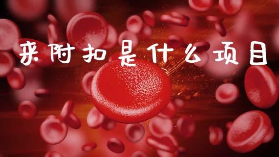 来附扣是什么项目_https://cj002.lansai.wang_会计问答_第1张