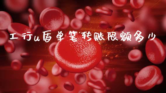 工行u盾单笔转账限额多少_https://cj002.lansai.wang_理财问答_第1张