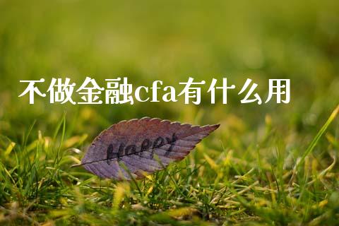不做金融cfa有什么用_https://cj002.lansai.wang_会计问答_第1张