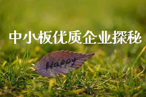 中小板优质企业探秘_https://cj002.lansai.wang_财经问答_第1张