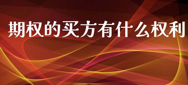 期权的买方有什么权利_https://cj002.lansai.wang_财经百问_第1张