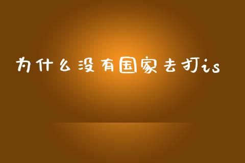 为什么没有国家去打is_https://cj002.lansai.wang_财经百问_第1张