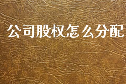 公司股权怎么分配_https://cj002.lansai.wang_理财问答_第1张