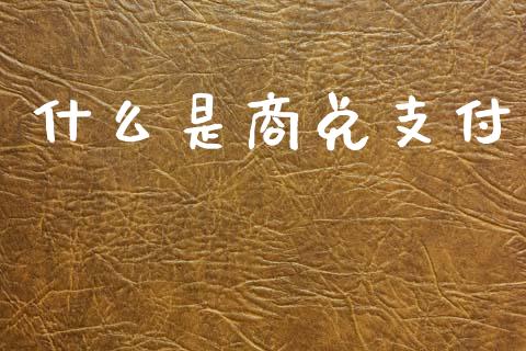 什么是商兑支付_https://cj002.lansai.wang_会计问答_第1张