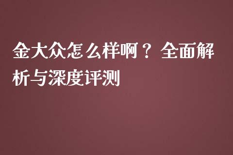 金大众怎么样啊？ 全面解析与深度评测_https://cj002.lansai.wang_财经问答_第1张