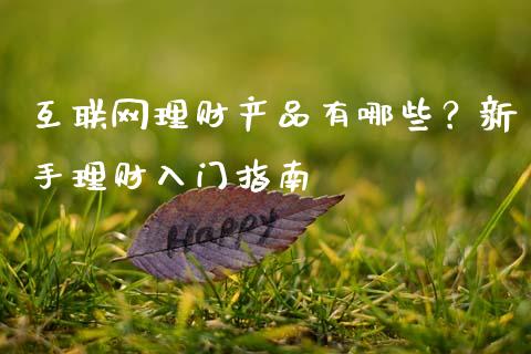 互联网理财产品有哪些？新手理财入门指南_https://cj002.lansai.wang_期货问答_第1张