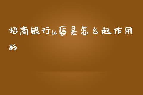 招商银行u盾是怎么起作用的_https://cj002.lansai.wang_金融问答_第1张