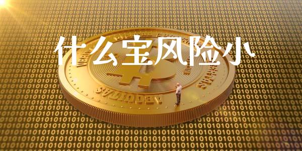 什么宝风险小_https://cj002.lansai.wang_财经百问_第1张
