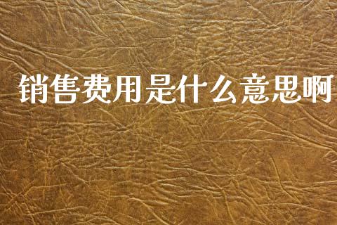 销售费用是什么意思啊_https://cj002.lansai.wang_会计问答_第1张