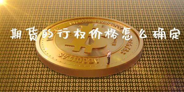 期货的行权价格怎么确定_https://cj002.lansai.wang_期货问答_第1张