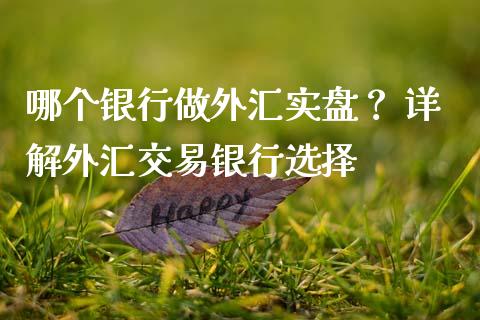 哪个银行做外汇实盘？ 详解外汇交易银行选择_https://cj002.lansai.wang_股市问答_第1张