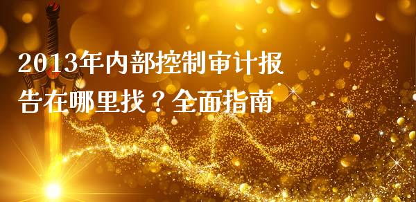 2013年内部控制审计报告在哪里找？全面指南_https://cj002.lansai.wang_保险问答_第1张