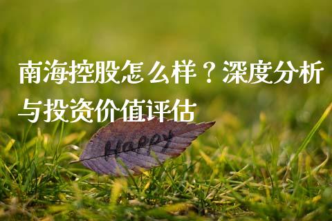南海控股怎么样？深度分析与投资价值评估_https://cj002.lansai.wang_股市问答_第1张