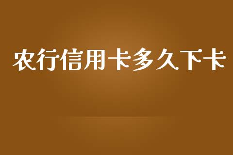 农行信用卡多久下卡_https://cj002.lansai.wang_理财问答_第1张