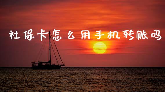 社保卡怎么用手机转账吗_https://cj002.lansai.wang_保险问答_第1张