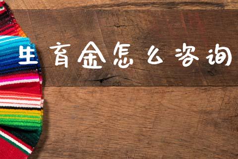 生育金怎么咨询_https://cj002.lansai.wang_保险问答_第1张