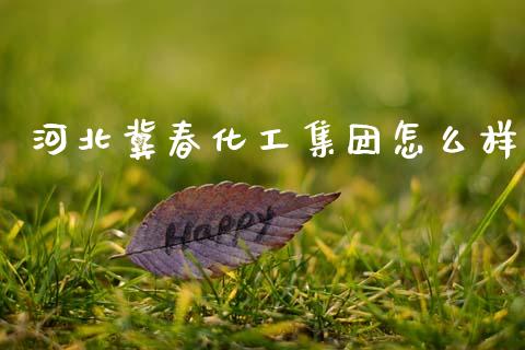 河北冀春化工集团怎么样_https://cj002.lansai.wang_财经问答_第1张
