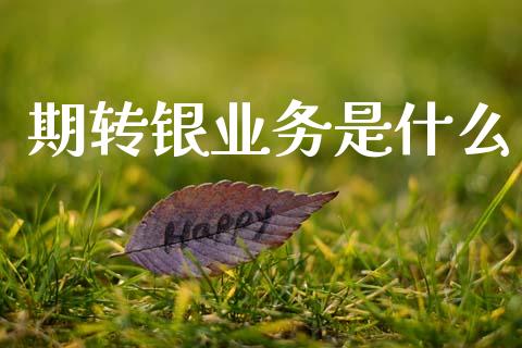 期转银业务是什么_期货问答_第1张_财经百问网 期转银业务是什么_https://cj002.lansai.wang_期货问答_第1张