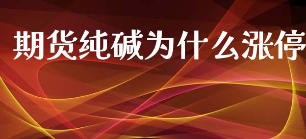 期货纯碱为什么涨停_https://cj002.lansai.wang_财经百问_第1张