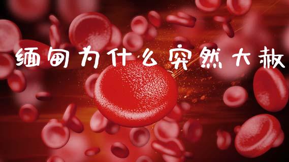 缅甸为什么突然大赦_https://cj002.lansai.wang_理财问答_第1张