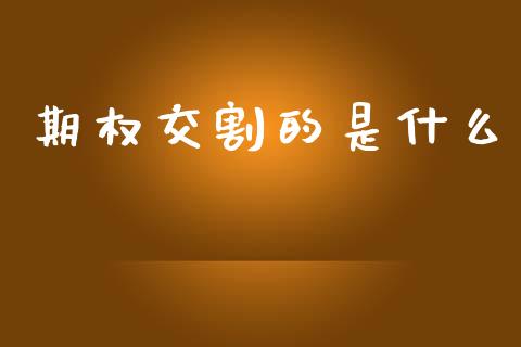 期权交割的是什么_https://cj002.lansai.wang_会计问答_第1张