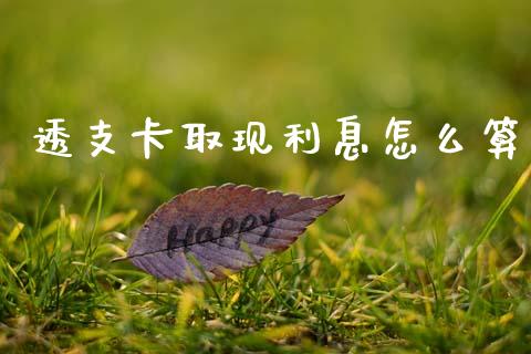 透支卡取现利息怎么算_https://cj002.lansai.wang_股市问答_第1张