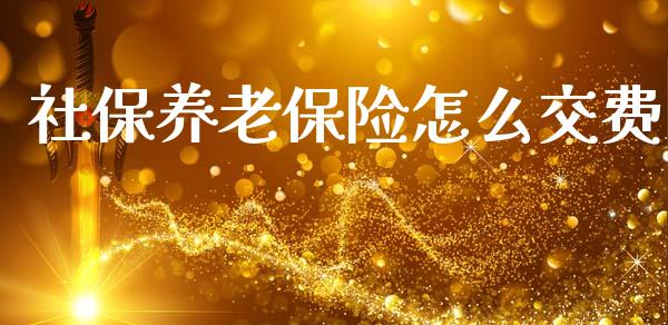 社保养老保险怎么交费_https://cj002.lansai.wang_保险问答_第1张