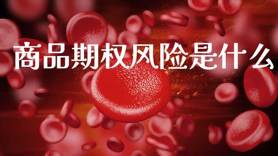 商品期权风险是什么_https://cj002.lansai.wang_期货问答_第1张