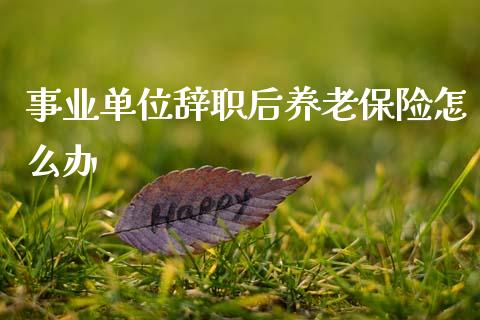 事业单位辞职后养老保险怎么办_https://cj002.lansai.wang_财经问答_第1张