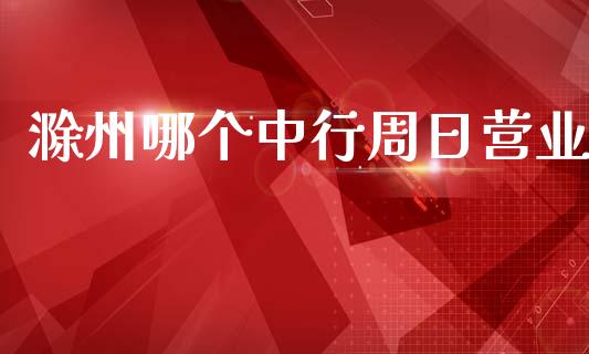 滁州哪个中行周日营业_https://cj002.lansai.wang_理财问答_第1张