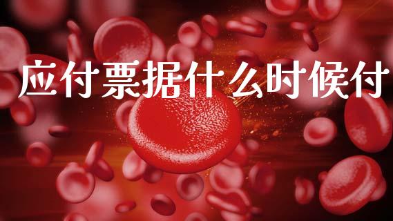 应付票据什么时候付_https://cj002.lansai.wang_会计问答_第1张