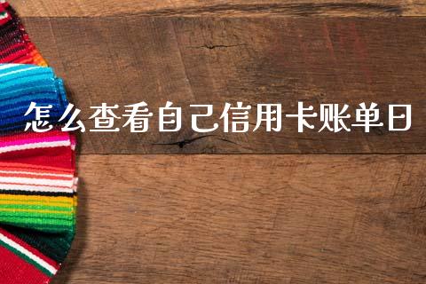 怎么查看自己信用卡账单日_https://cj002.lansai.wang_金融问答_第1张