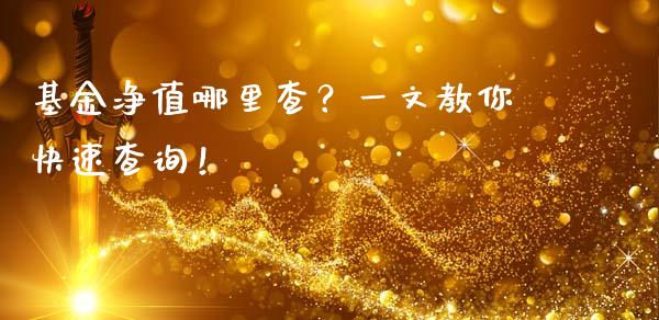 基金净值哪里查？一文教你快速查询！_https://cj002.lansai.wang_会计问答_第1张