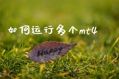 如何运行多个mt4_https://cj002.lansai.wang_财经问答_第1张
