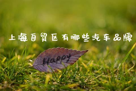 上海自贸区有哪些汽车品牌_https://cj002.lansai.wang_财经问答_第1张