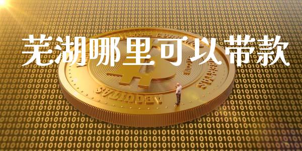 芜湖哪里可以带款_https://cj002.lansai.wang_理财问答_第1张