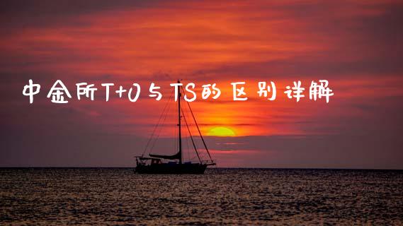 中金所T+0与TS的区别详解_https://cj002.lansai.wang_保险问答_第1张