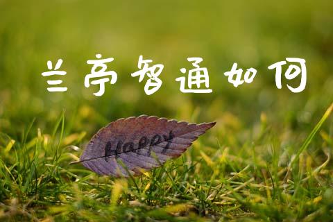 兰亭智通如何_https://cj002.lansai.wang_期货问答_第1张