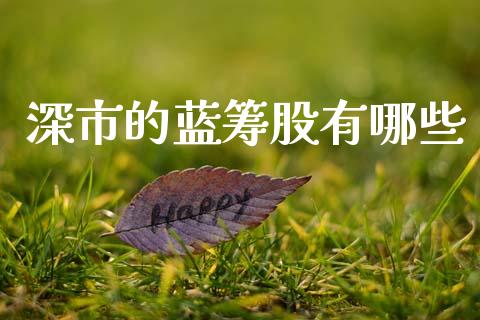 深市的蓝筹股有哪些_保险问答_第1张_财经百问网 深市的蓝筹股有哪些_https://cj002.lansai.wang_保险问答_第1张