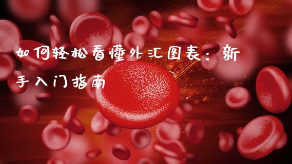 如何轻松看懂外汇图表:新手入门指南_期货问答_第1张_财经百问网 如何轻松看懂外汇图表:新手入门指南_https://cj002.lansai.wang_期货问答_第1张